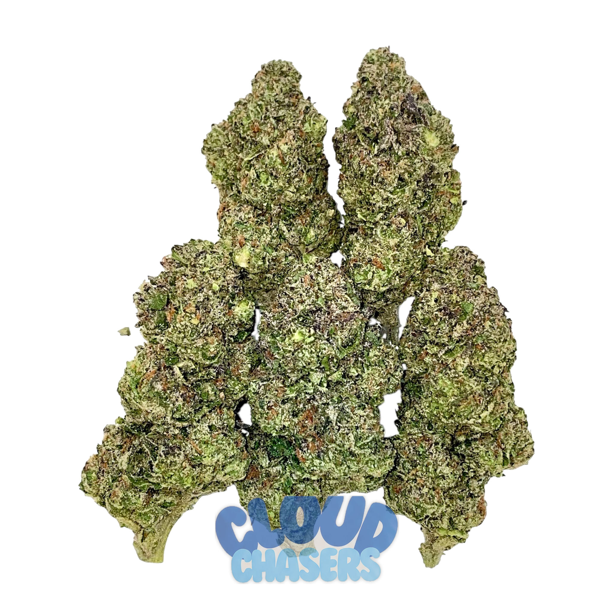 Sour Punch Gelato